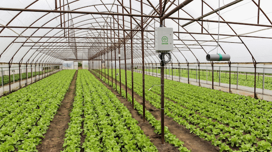 Stație de senzori Enten cu panou solar într-un solar agricol