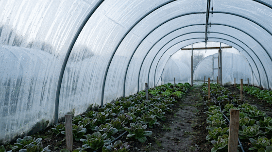 Solar agricol pe timp de iarnă, sub un cer noros